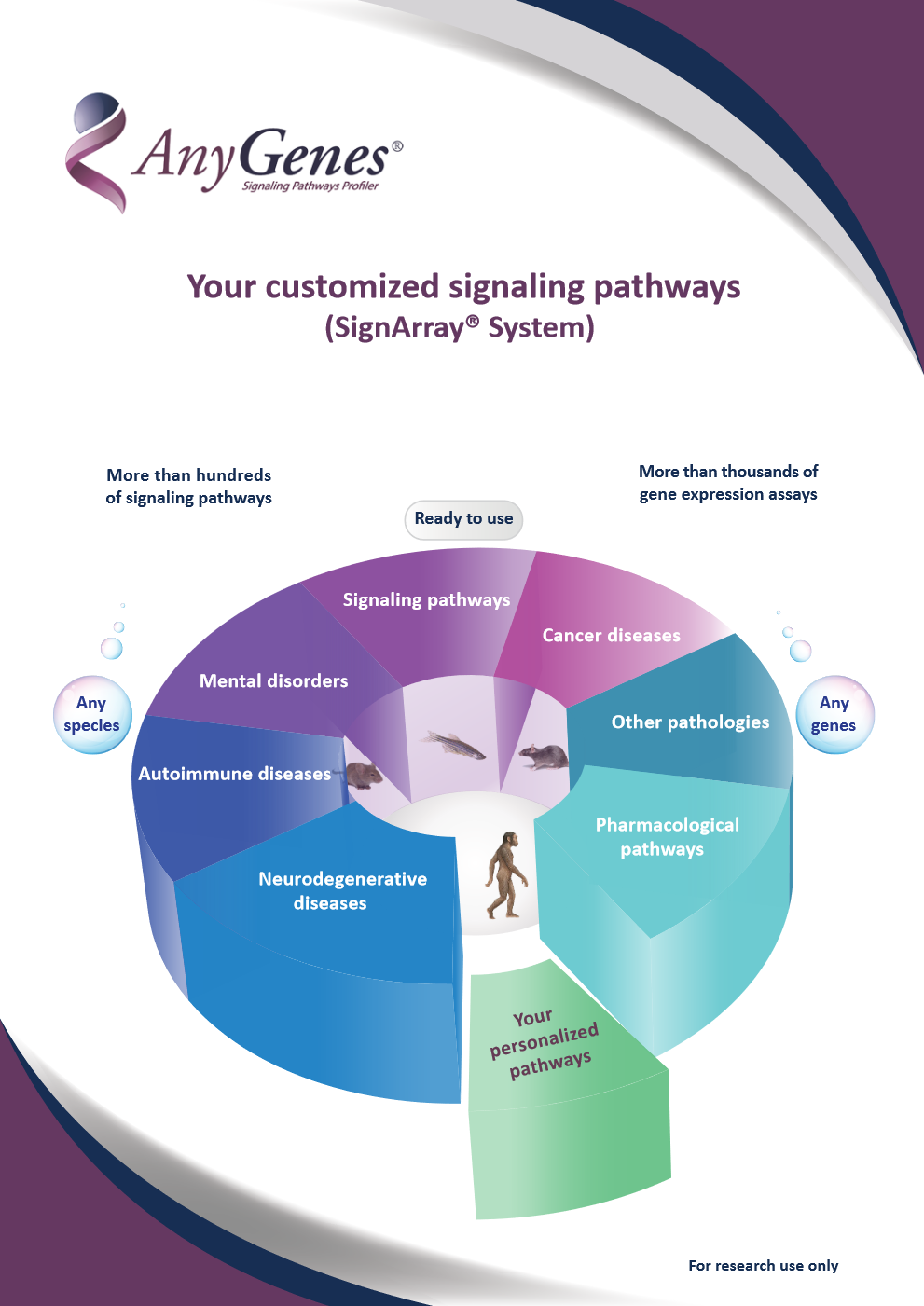Flyer and poster- signaling pathways flayer 1