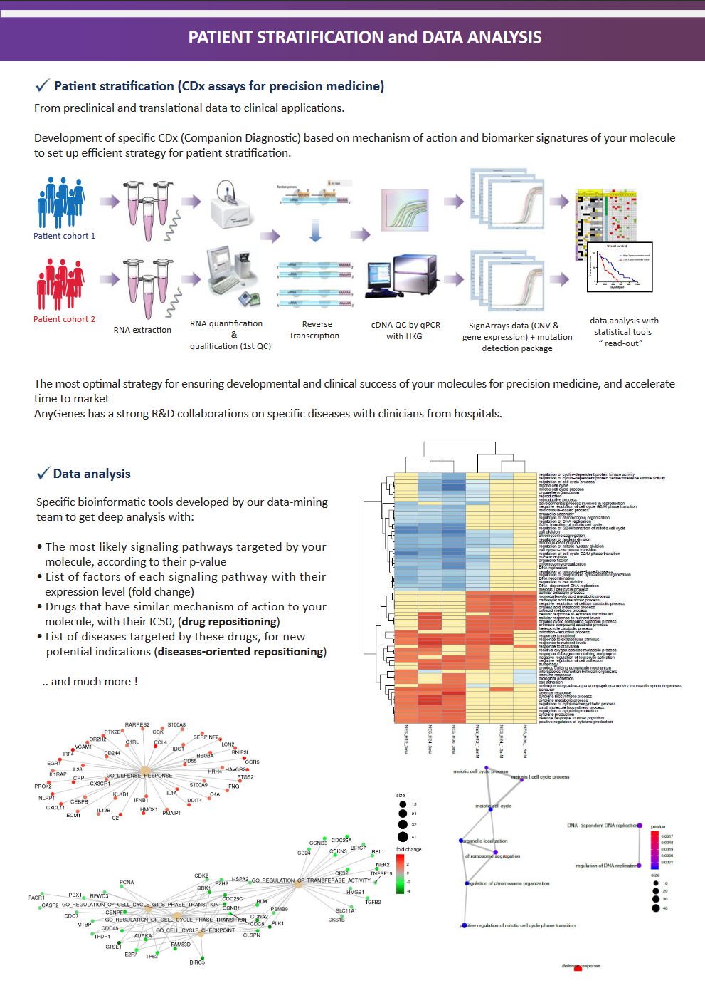 flyers and posters, signaling pathways flayer 4