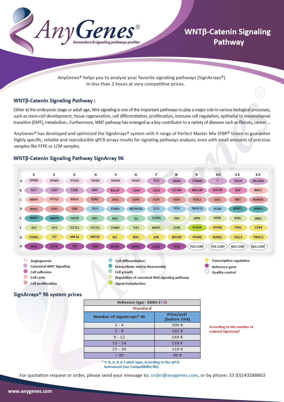 flyers and posters, WNTbeta Catenin Signaling Pathway
