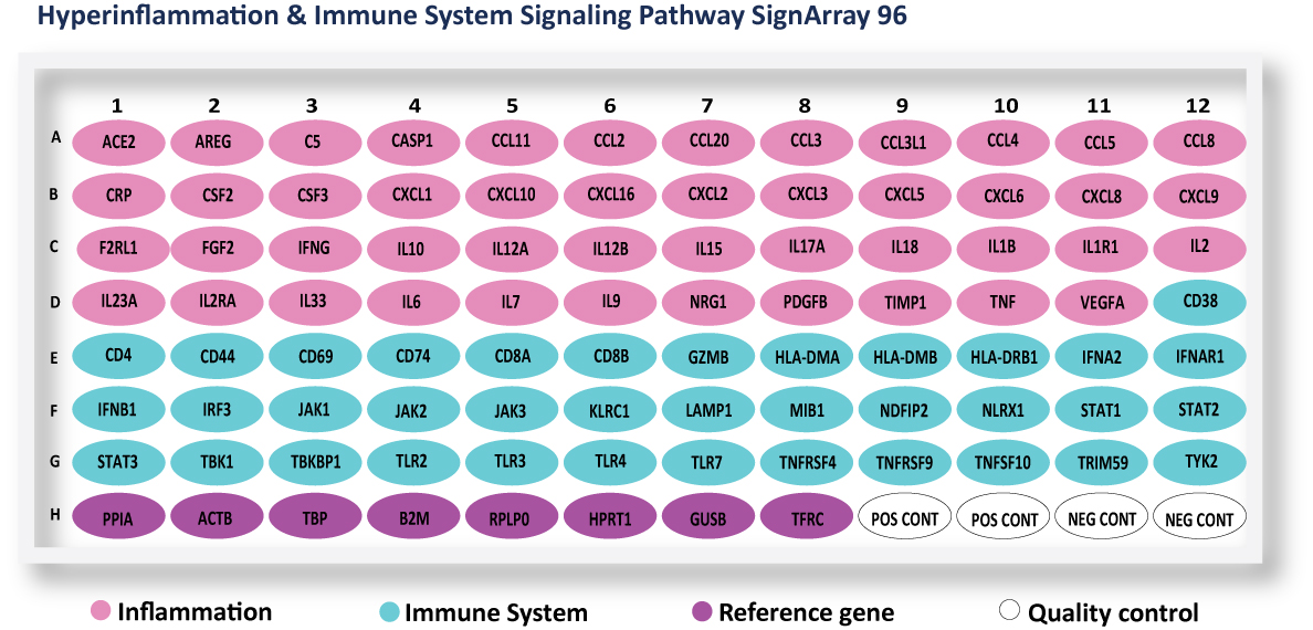  flyers and posters, Hyperinflammation and Immune system