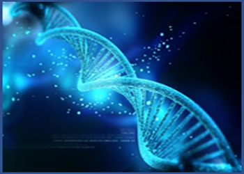 Services complets d'analyse de données haut débit d'expression génique basés sur la technologie de qPCR array pour explorer biomarqueurs et voies de signalisation.