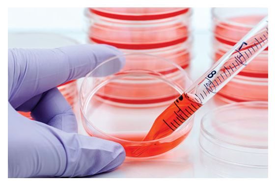 Les réactifs MycoDiag assurent un criblage rapide et fiable de vos surnageants de culture cellulaire par qPCR ou PCR, afin de détecter toute contamination par Mycoplasmes.