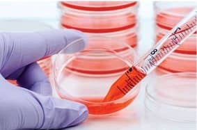 cell signaling and biomarkers _ MycoDiag assays ensure a fast and reliable screening of your cell culture supernatants for Mycoplasma contamination by qPCR or PCR .