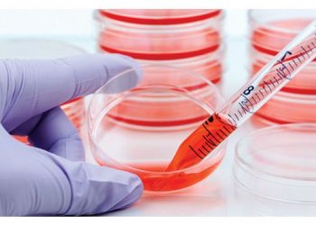 Les réactifs MycoDiag assurent un criblage rapide et fiable de vos surnageants de culture cellulaire par qPCR ou PCR, afin de détecter toute contamination par Mycoplasmes.