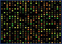 DNA chips data analysis