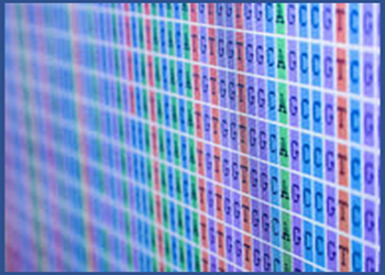 Notre équipe bioinformatique peut réaliser vos analyses de données haut débit de qPCR arrays, puces ADN ou NGS (Next-Generation Sequencing) pour vous.