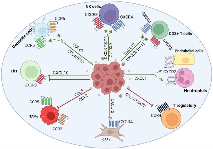 Chemokines_and_chemokine_receptors_in_immunity