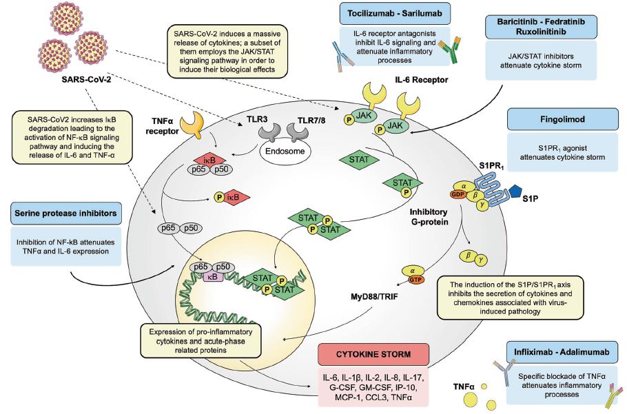 Inflammation_and_COVID19