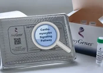 Cardiomyocytes signaling pathways qPCR array by AnyGenes for advanced cardiac research.