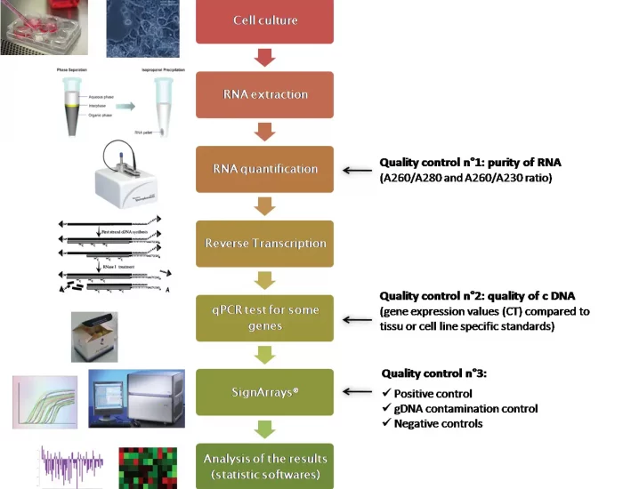 AnyGenes has developed robust procedures for the analysis of gene expression by qPCR arrays specific to any signaling pathways, with its high-throughput molecular platform.