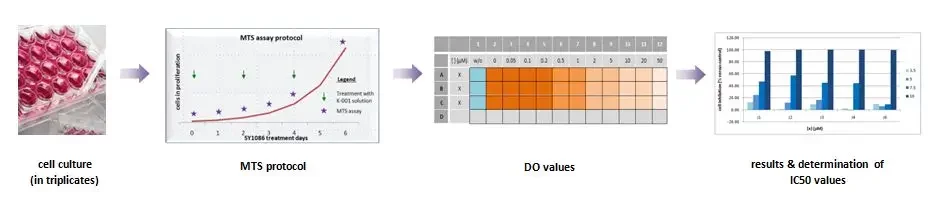 With robust procedures suitable for many in vitro models according to your projects, AnyGenes services assist your drug development.