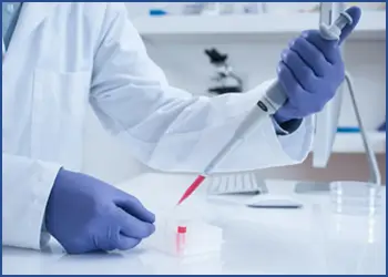 high-throughput data analysis: From in vitro models suitable with your projects, AnyGenes can perform all your in vitro drug testings for you.