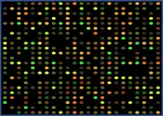 Microarray Data Visualization for Gene Expression Analysis.