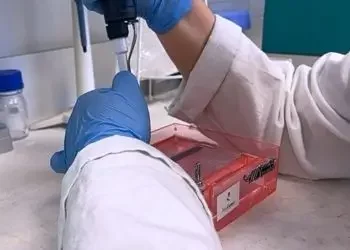 Enhancing molecular diagnostics with AnyGenes® qPCR solutions
