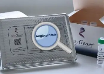 Visualization of the angiogenesis pathway with AnyGenes qPCR array.