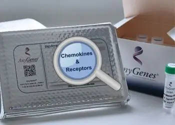 AnyGenes® chemokine receptors qPCR array for immune response and disease pathway analysis.