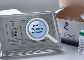 MAP Kinase (MAPK) signaling pathway analysis with AnyGenes array.