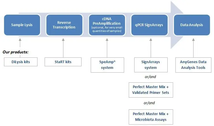 AnyGenes® offers you complete solutions for transcriptomic analysis, from lysis of the sample to data analysis.