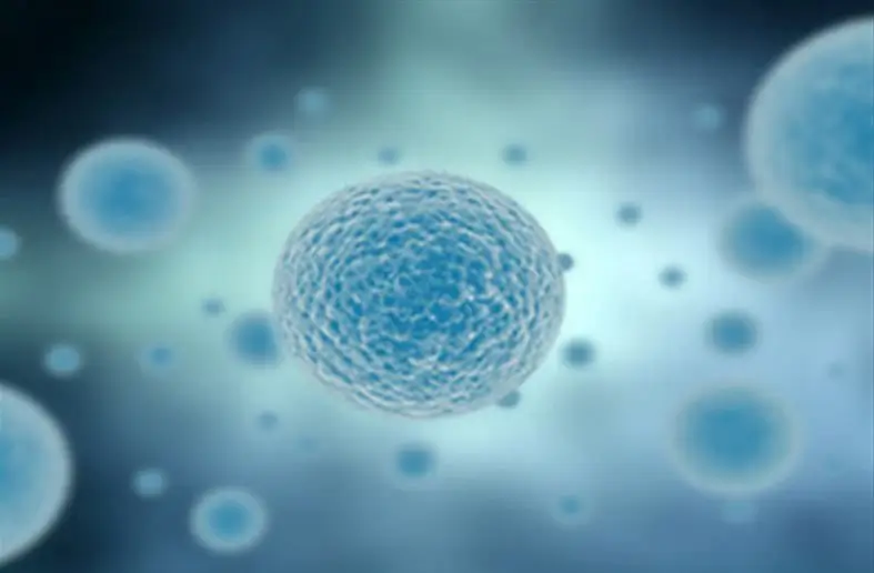 Single cell profiling with SpeAmp® qPCR kits for rare and low-input RNA