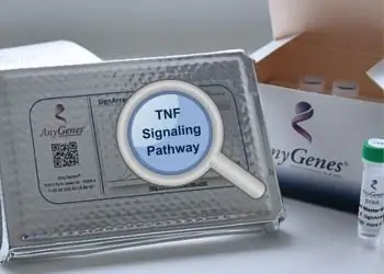TNF Signaling Pathway with AnyGenes qPCR array biomarker analysis.