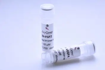 Reliable qPCR primer sets for precise gene expression analysis