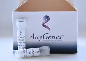 From only few cells, you can now directly analyse signaling pathways by qPCR arrays by using our optimised Direct Lysis reagents (DiLysis kit).