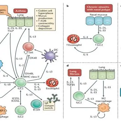 You can study involvement of Innate Lymphoid Cells in many processes like protective immunity, tissue remodeling, regulation of homeostasis and inflammation by using our qPCR SignArrays.