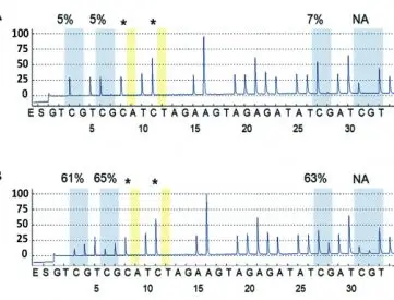 All our primers and probes are experimentally validated to give the best reliable results concerning methylation levels of each CpG islet of target sequences in pyrosequencing pyrograms.
