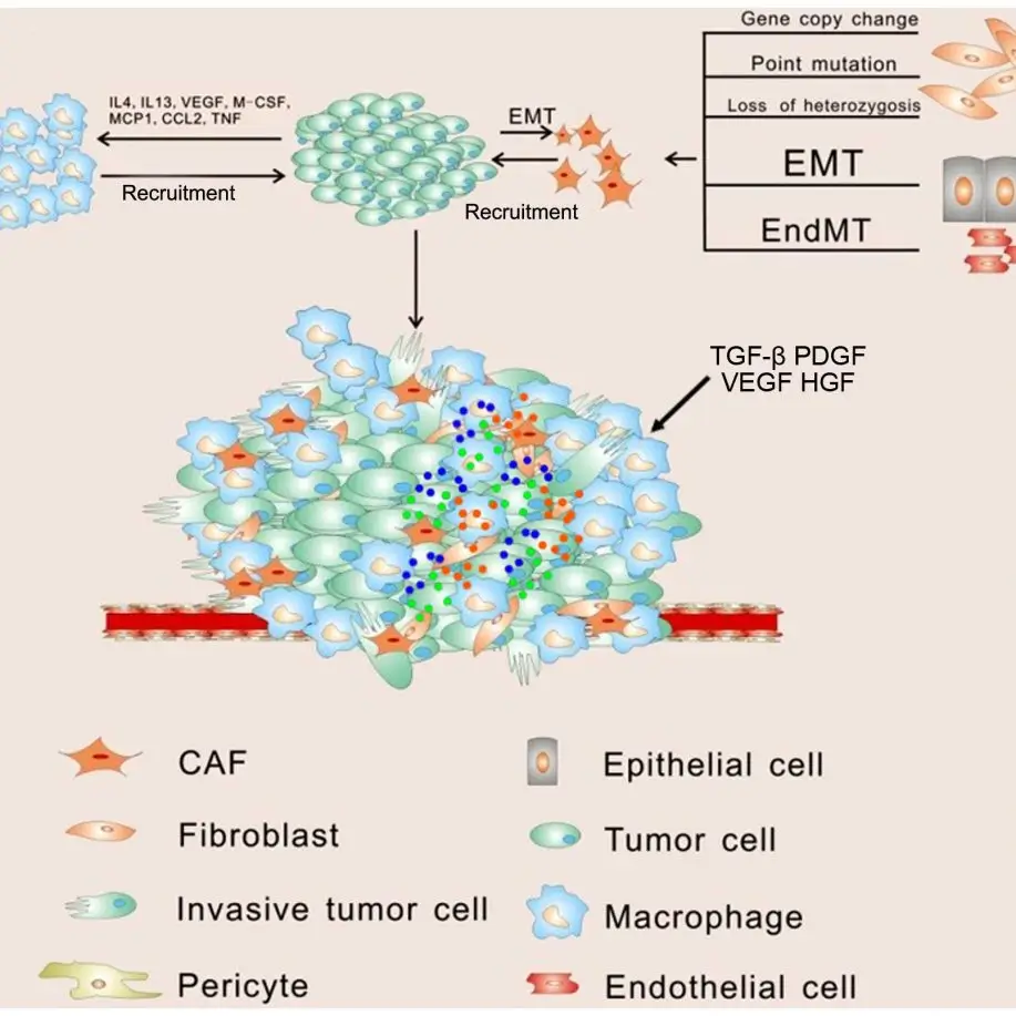 The role of the tumor microenvironment in tumor progression can be studied by qPCR arrays specific of these signaling pathways (AnyGenes® SignArrays®