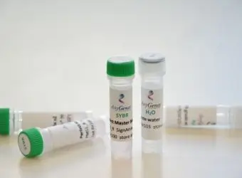 AnyGenes provides full ranges of services based on genomic and gene expression analysis.