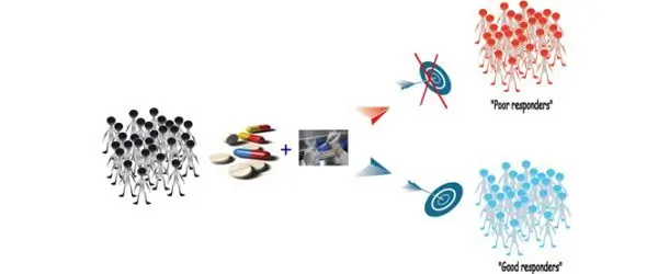 AnyGenes développe des tests compagnons basés sur des qPCR arrays ciblant des voies de signalisation pour identifier des biomarqueurs pronostiques et prédictifs, afin de soutenir la médecine personnalisée.