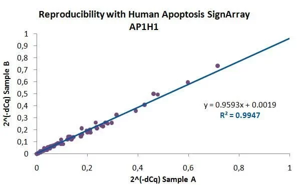 qPCR Array and PCR Array AnyGenes® monitors the reproducibility of their SignArrays with strict quality controls (example with 2 Human Apoptosis signaling pathways performed from the same sample).