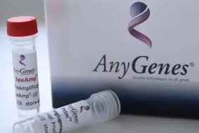 Vous pouvez désormais analyser jusqu'à 4 voies de signalisation à partir de 5 ng d'ARN avec notre kit de préamplification de l'ADNc SpeAmpn.