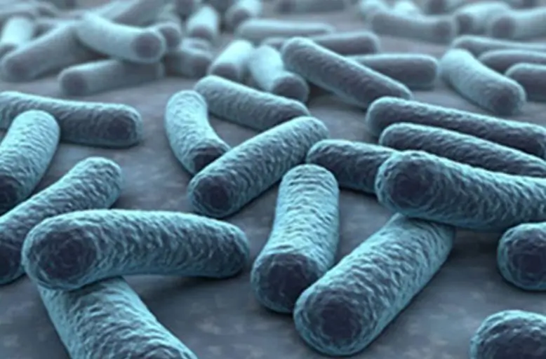 Profilage précis du microbiote grâce aux SignArrays AnyGenes®, garantissant des résultats reproductibles et comparables entre expériences