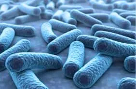 Explorez le profil du microbiote de vos échantillons avec nos kits qPCR Microbiote, disponibles en plusieurs formats.