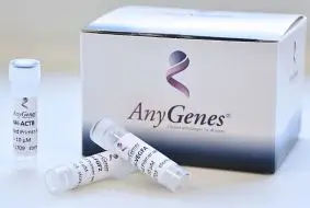 Primers validés AnyGenes® pour signalisation cellulaire qPCR arrays. Obtenez le profil d'expression génique pour n'importe quels gènes et espèces avec nos primers de qPCR validés expérimentalement et prêts à l'emploi.