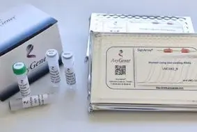 AnyGenes® qPCR LncRNA kits for cell signaling and biomarker research