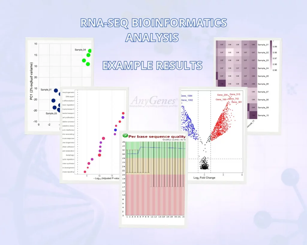 RNA-seq bioinformatics analysis example showing quality control metrics, differential expression results, and standardized reporting