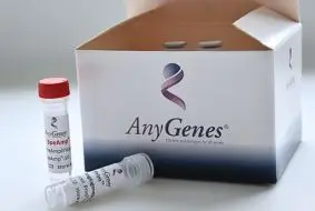 AnyGenes® SpeAmp® qPCR pre-amplification kit for cell signaling and biomarker research