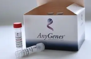 AnyGenes® SpeAmp® qPCR pre-amplification kit for cell signaling and biomarker research