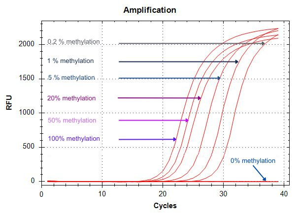 Standard curve for global DNA methylation quantification using LINE-1 qPCR assay