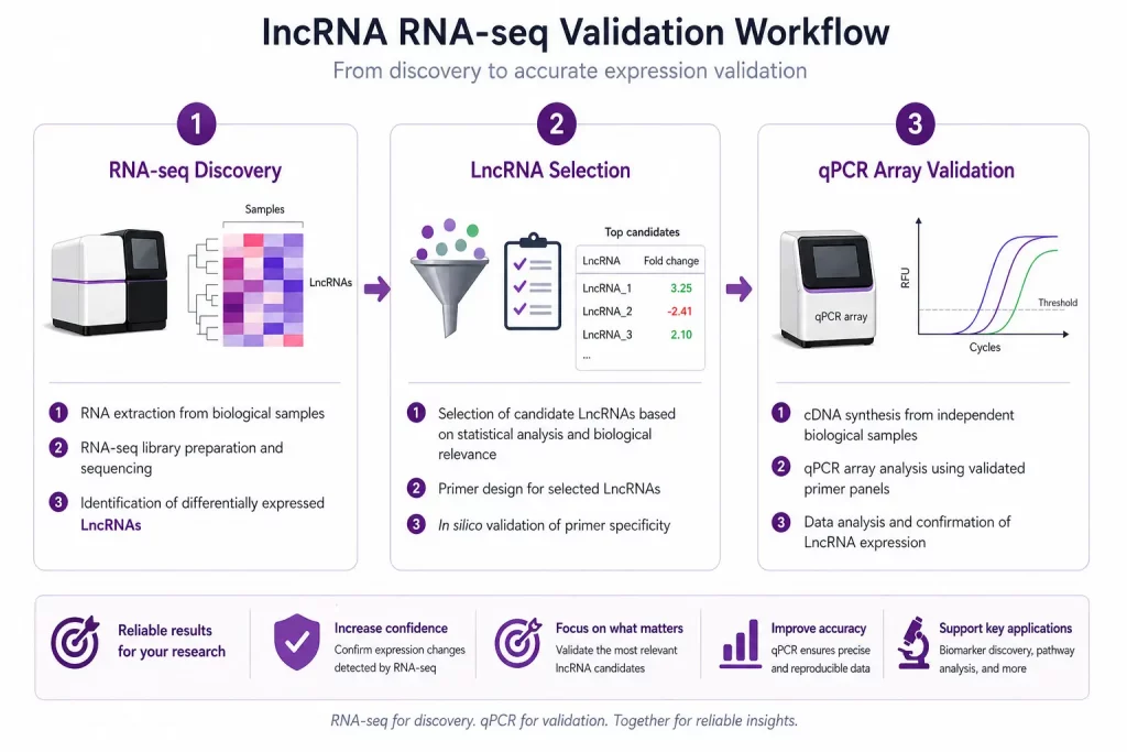 LncRNA RNA-seq validation workflow showing RNA-seq discovery, candidate selection, and qPCR array validation with amplification curves