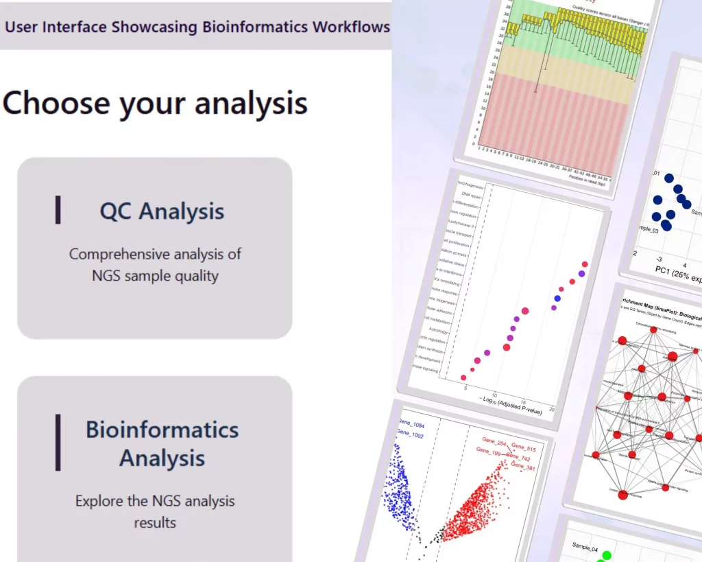 Résultats d’analyse de données RNA-seq montrant le contrôle qualité, l’expression différentielle et les insights transcriptomiques