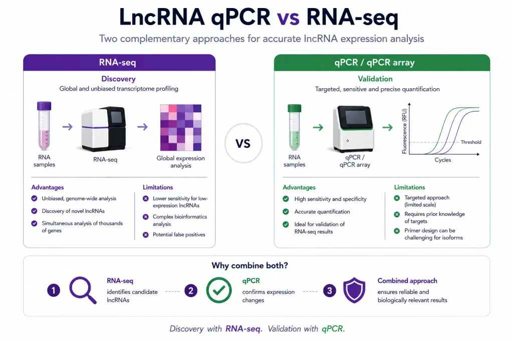 Comparison workflow between RNA-seq discovery and qPCR array validation for lncRNA expression analysis.