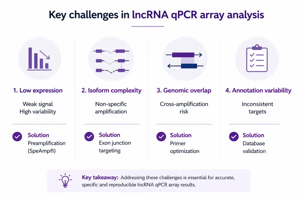 Infographic showing major challenges in lncRNA qPCR analysis including low expression levels, isoform complexity, genomic overlap, and annotation variability, with solutions to improve specificity and reproducibility.