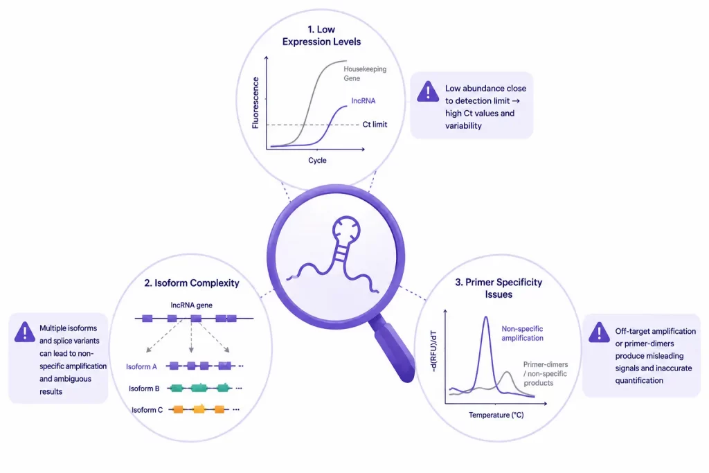 Scientific infographic for qPCR gene expression resources showing key factors affecting lncRNA qPCR reproducibility, including low expression levels, isoform complexity and primer specificity.