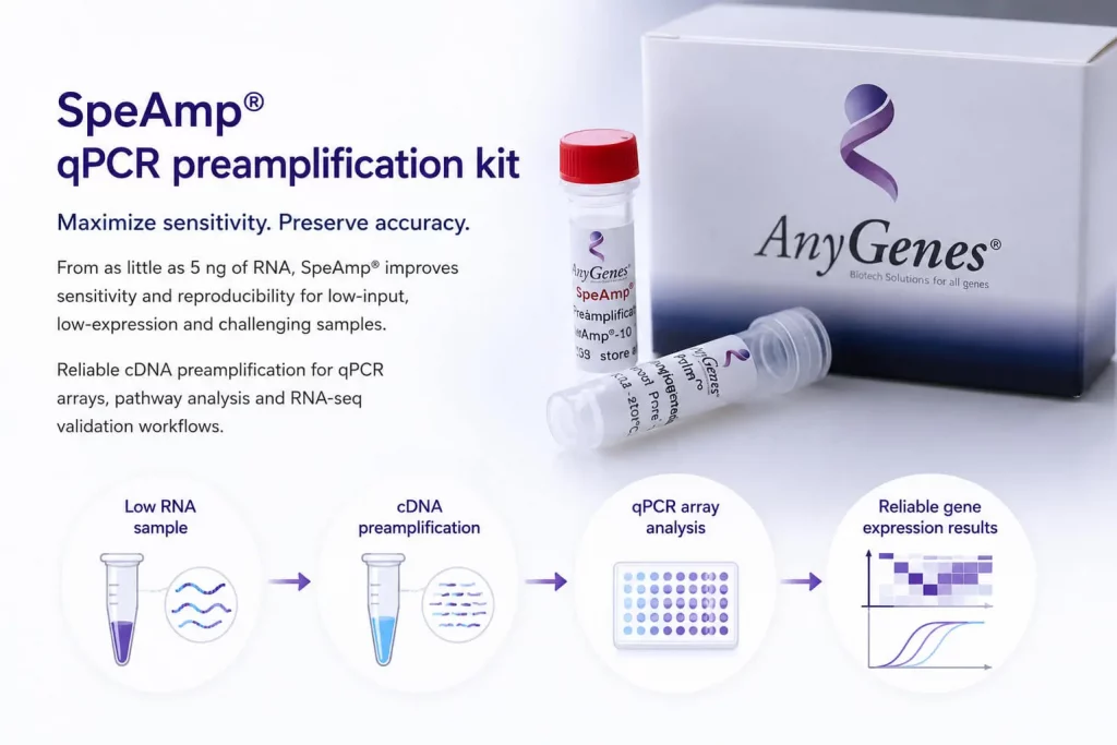Illustration of the AnyGenes SpeAmp qPCR preamplification kit workflow showing low RNA samples, cDNA preamplification, and qPCR array analysis for sensitive gene expression profiling.
