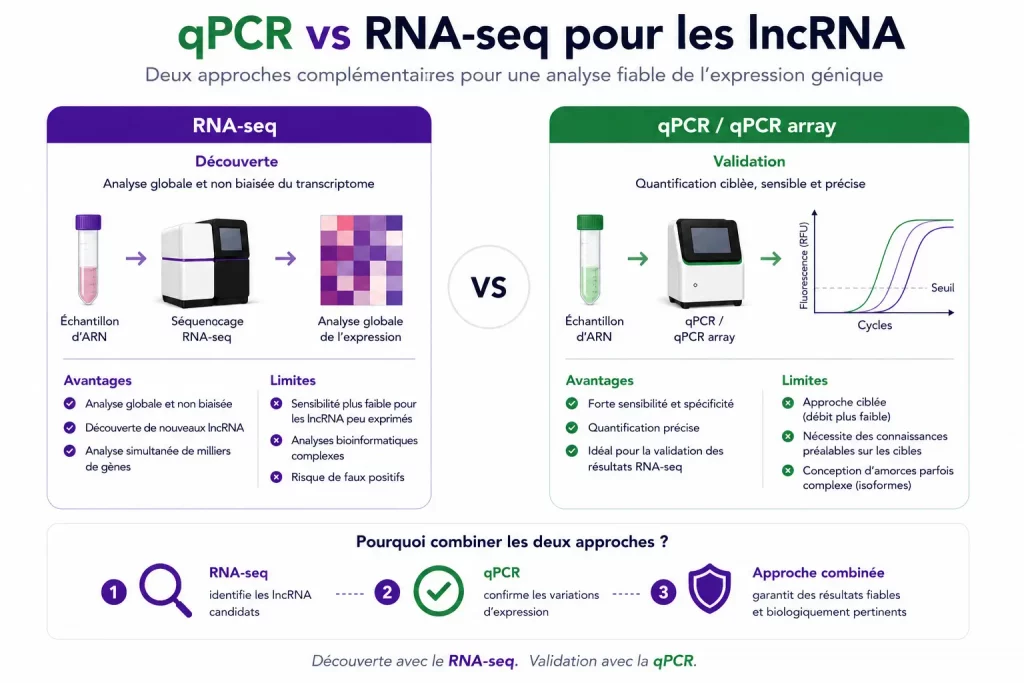 Infographie comparant RNA-seq et qPCR/qPCR array pour l’analyse des lncRNA, illustrant les différences entre découverte transcriptomique globale et validation ciblée de l’expression génique