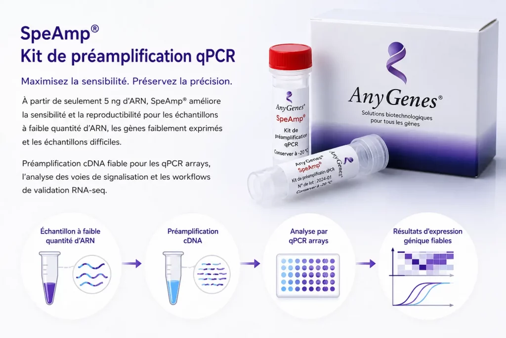 Illustration du workflow du kit de préamplification qPCR SpeAmp® AnyGenes® montrant des échantillons à faible quantité d’ARN, une préamplification cDNA et une analyse par qPCR arrays pour un profilage sensible de l’expression génique.