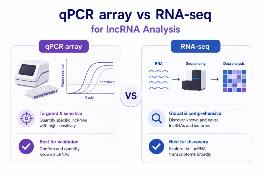 Scientific infographic comparing qPCR array and RNA-seq for lncRNA gene expression analysis, highlighting validation, sensitivity and transcript discovery.